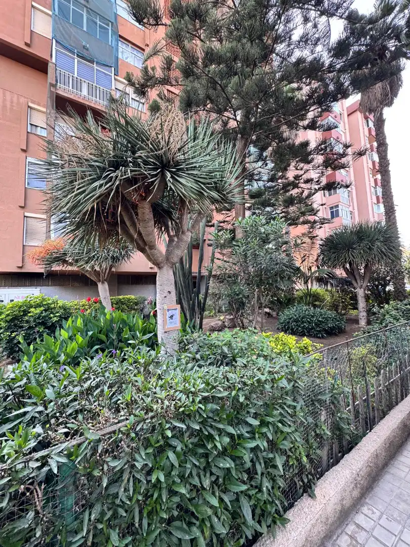 Wohnung zum Verkauf in Calle de Eufemiano Jurado, Vega de San José