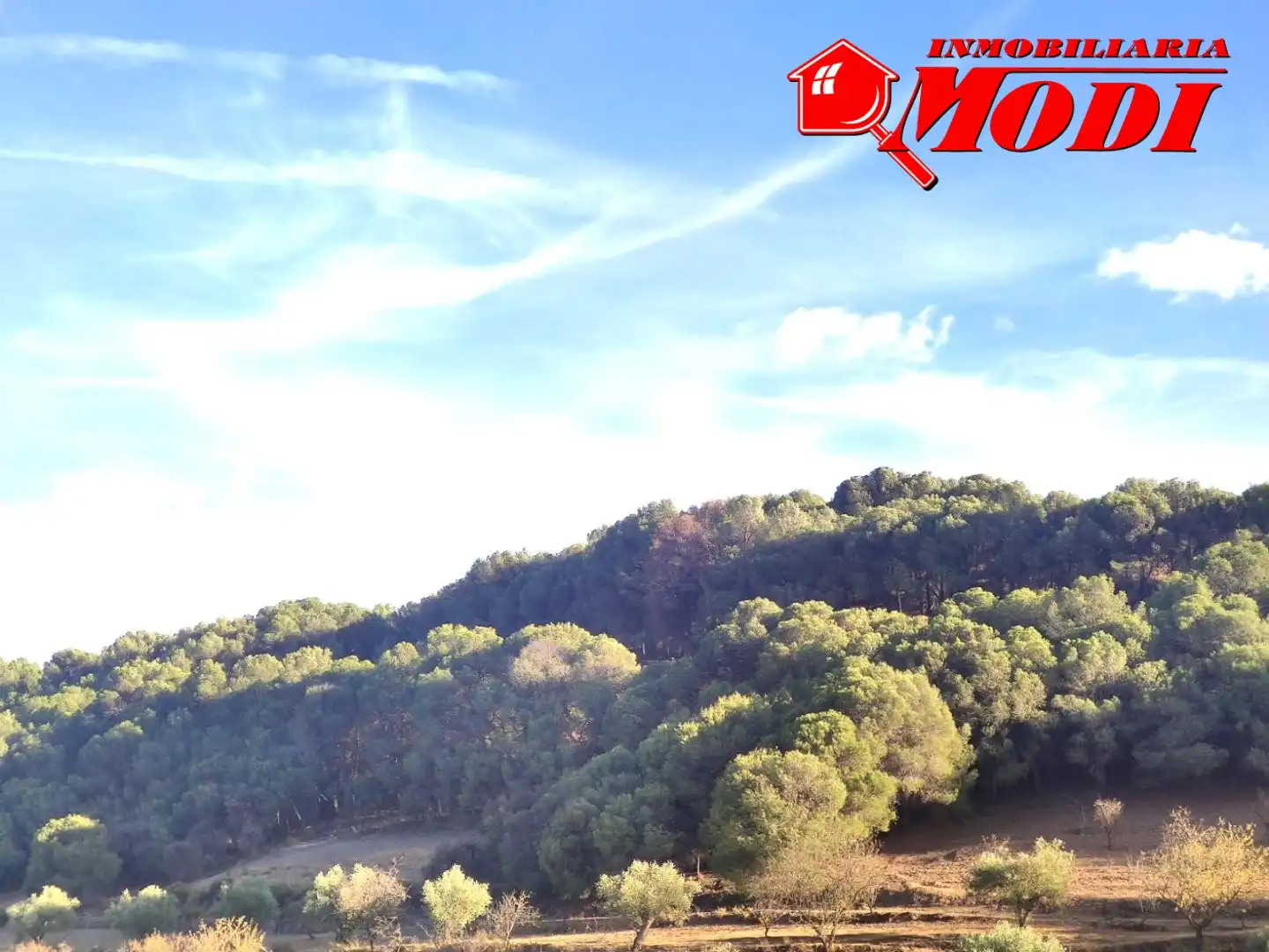 Finca rústica en venda en Villamena amb Jardí privat
