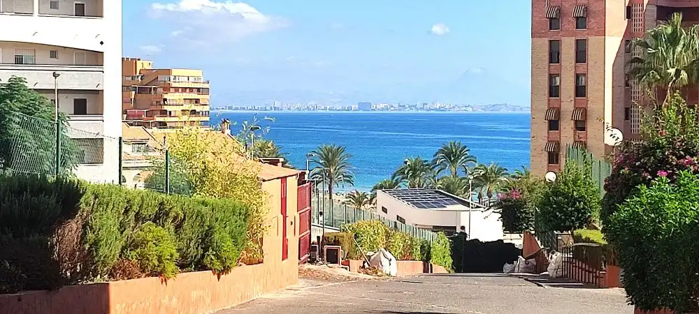Piso con piscina en venta en Avenida San Bartolome Tir, imagen 30