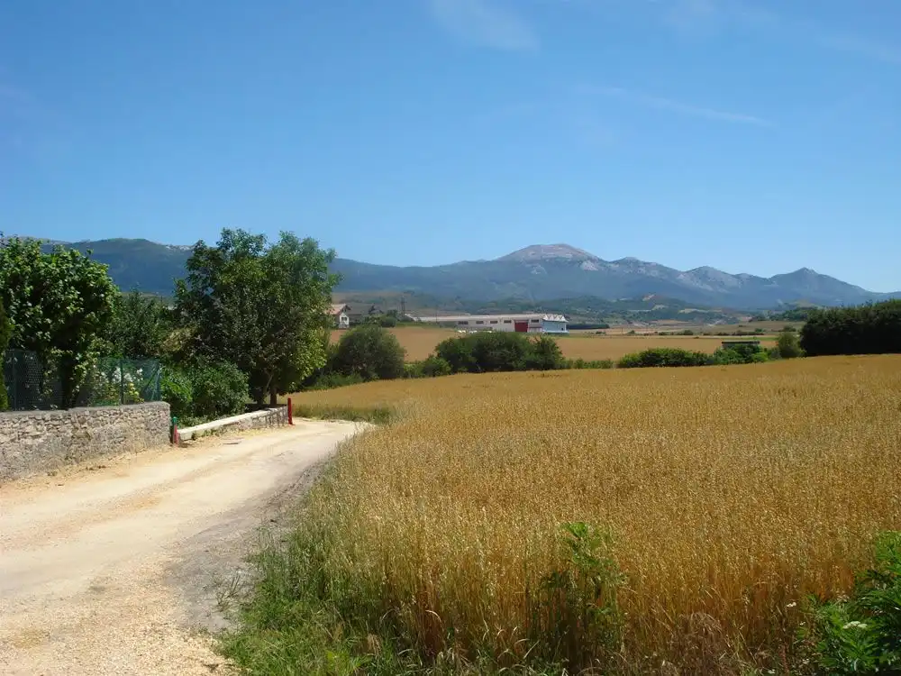 Wohnbaugrundstück zum Verkauf in San Millán / Donemiliaga, imagen 2