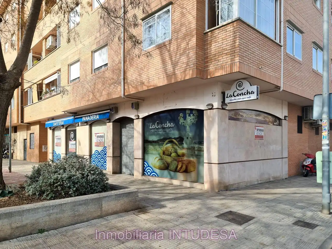 Vista exterior de Local en venta en Tudela