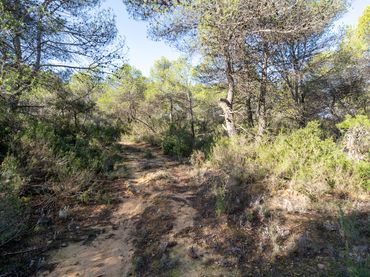 Terreno rústico en venta en Arens de Lledó