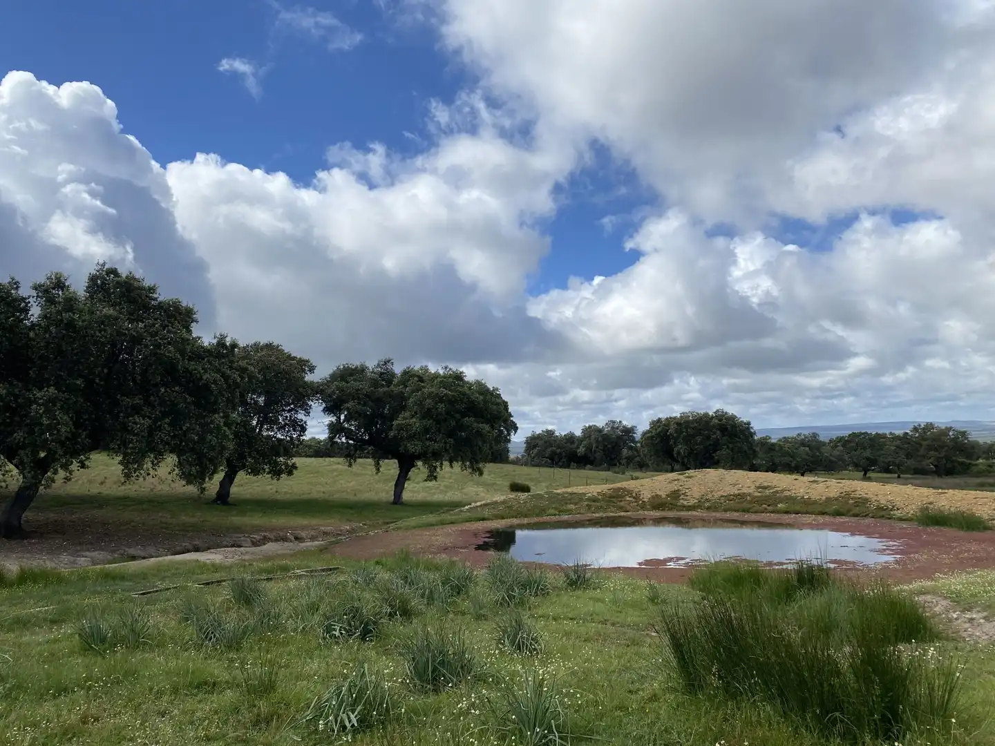 Terreno en venta en Deleitosa