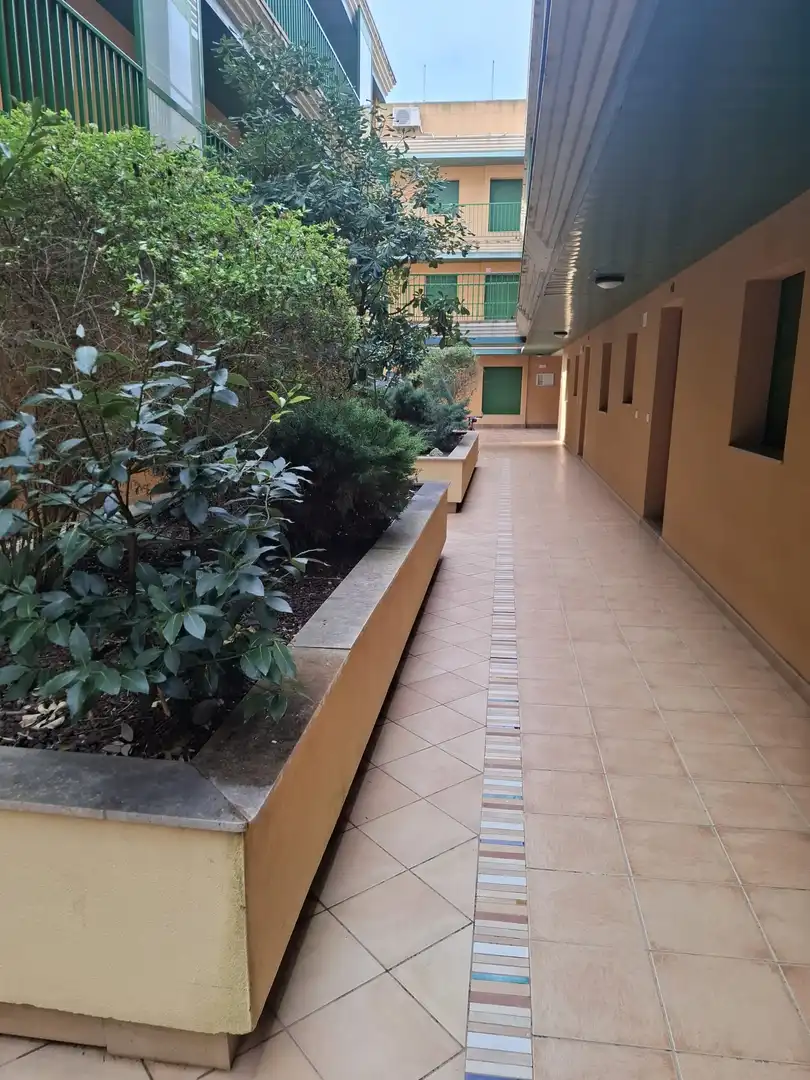 Apartment mit Aufzug zum Verkauf in Eucaliptus- Poble Nou del Delta, imagen 5