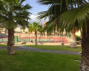 Jardí de Casa adosada en venda en Granadilla de Abona amb Jardí privat, Terrassa i Piscina comunitària