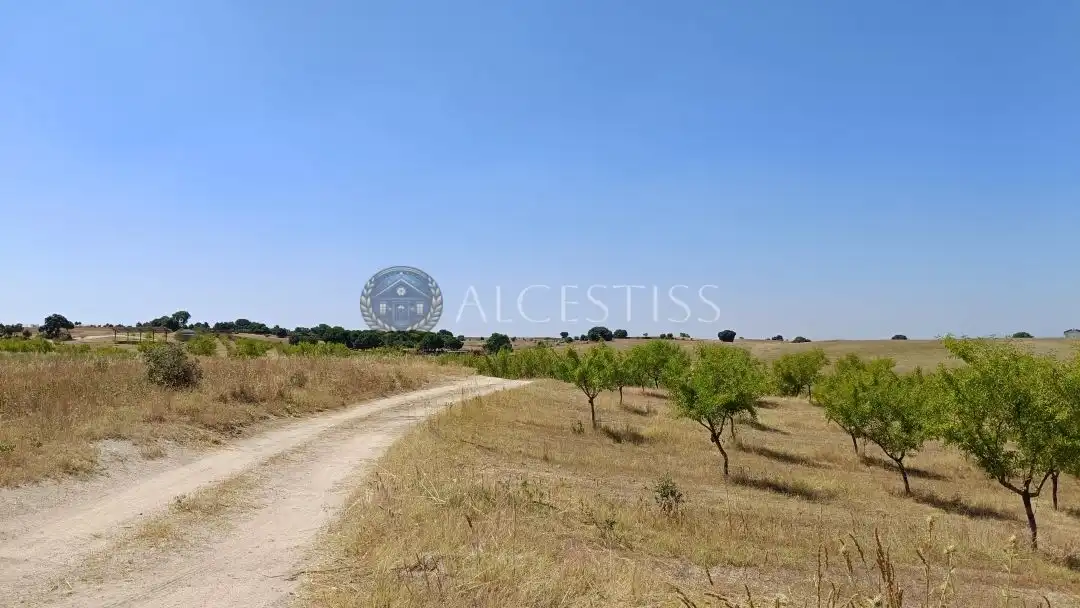 Terreni e lotti in vendita a Méntrida, imagen 17