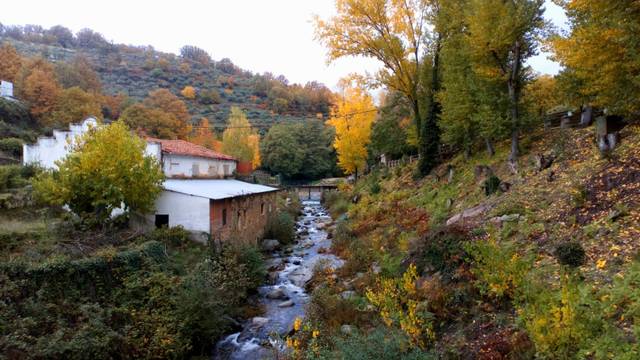 Terreno en Venta en Calle la Renta, 124 en Aldeanueva de la Vera