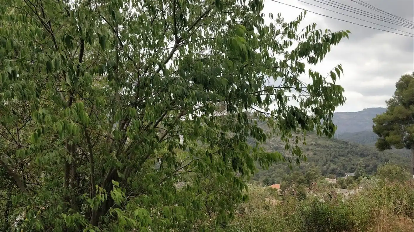 Residential for sale in Castellar del Vallès