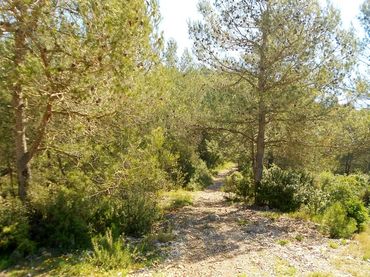 Rustikales Grundstück zum Verkauf in Carrer Olesa de Bonesvalls 9