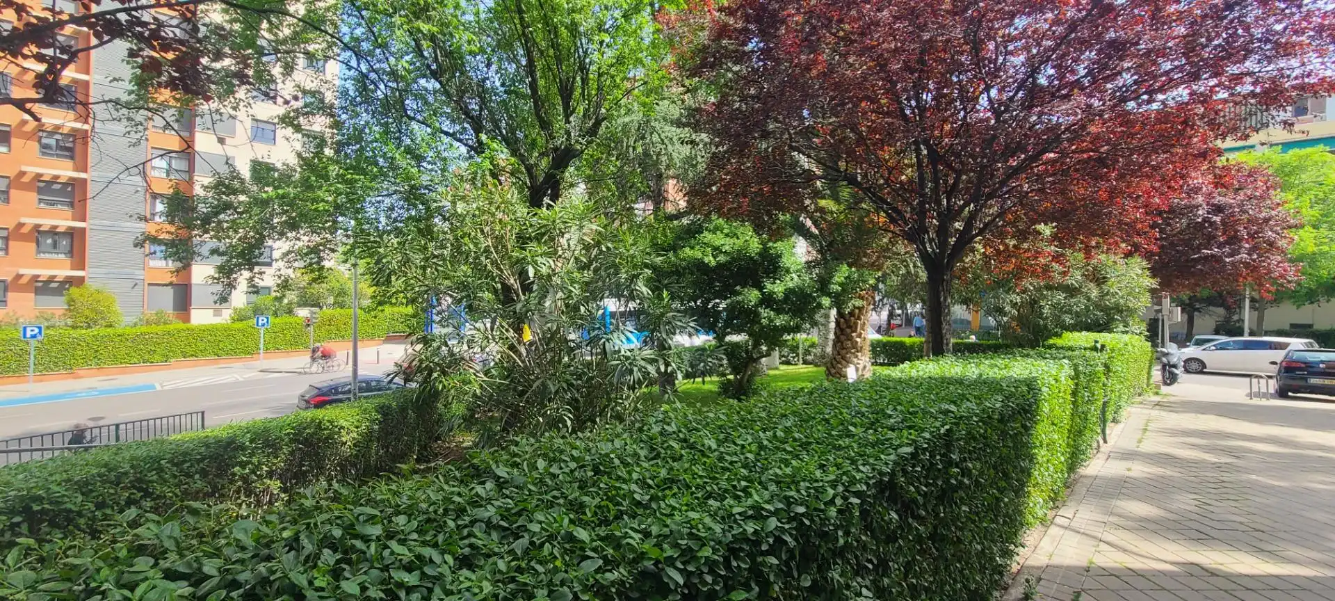 Appartement avec terrasse à vendre à Fuencarral - El Pardo, imagen 27