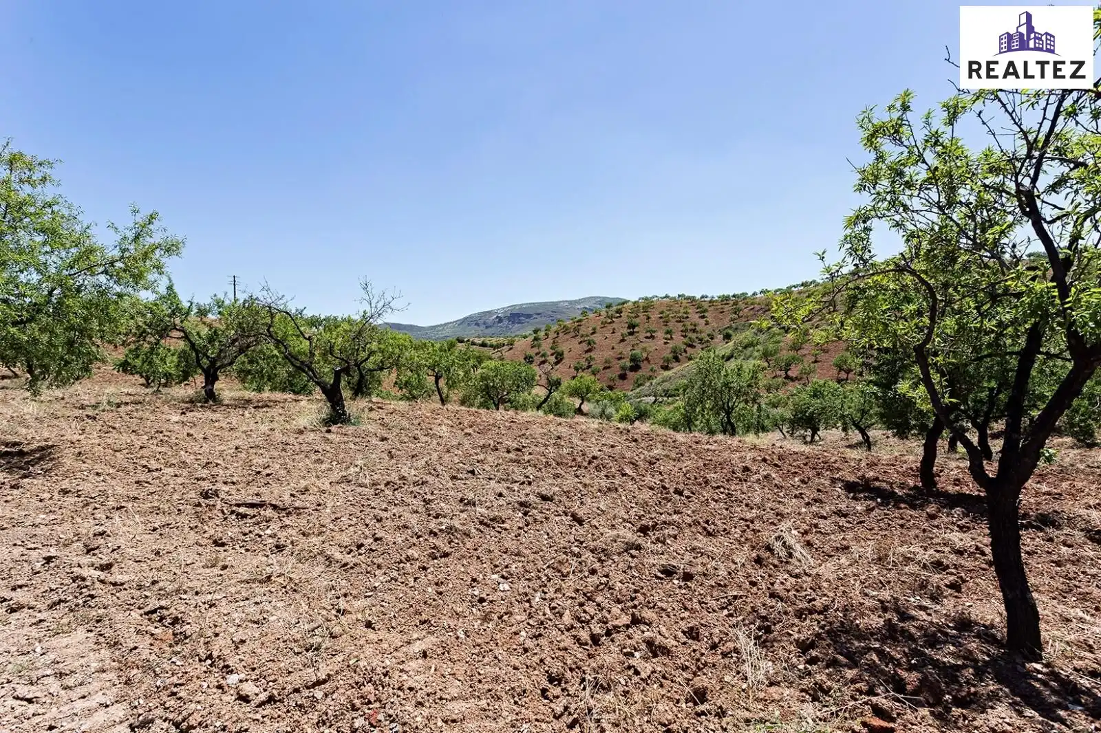 Casa rústica en venta en Cádiar, imagen 26