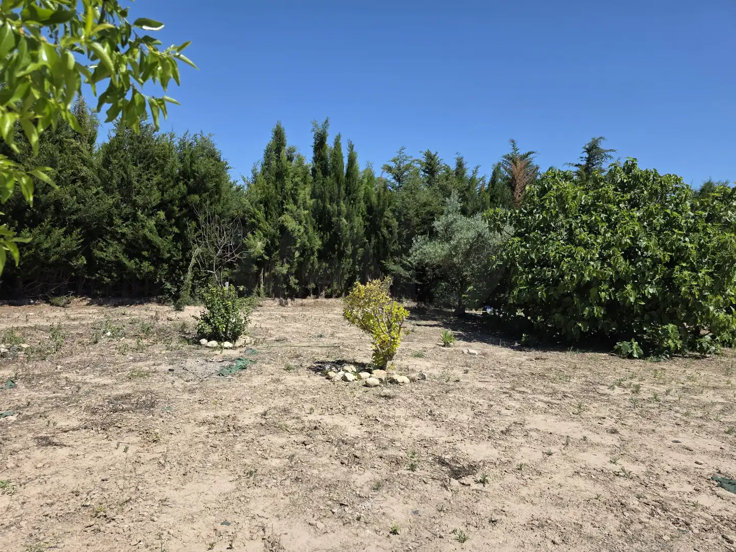 Maison avec piscine à vendre à Calasparra, imagen 20