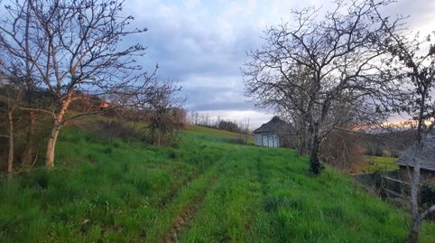 Vivir en una casa de piedra rodeada de Naturaleza?