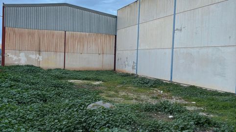 SOLAR INDUSTRIAL EN CIJUELA, imatge 5