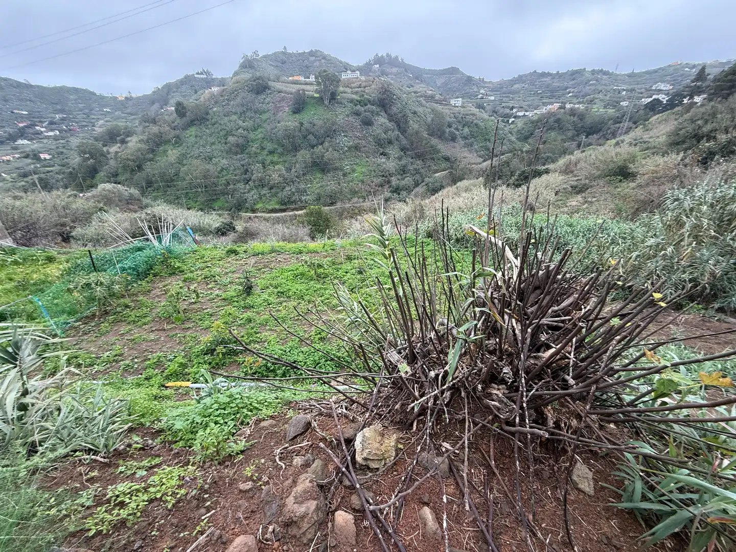 Finca rústica en venta en El Álamo - Arbejales
