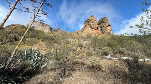Foto 3 de Terreno en venta en San Bartolomé Interior, San Bartolomé de Tirajana