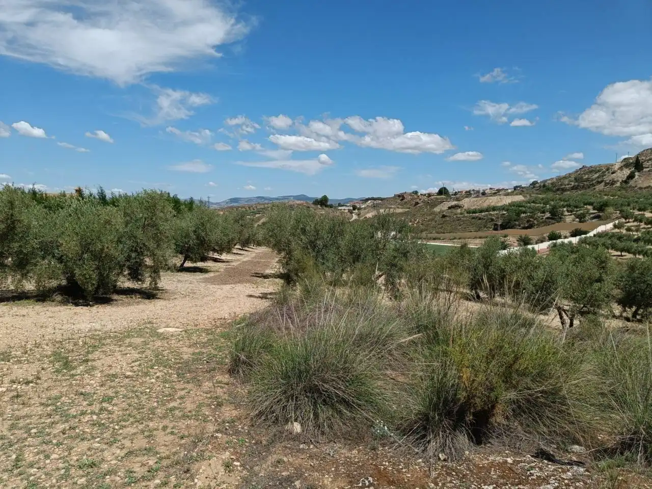 Country homes for sale in Moraleda de Zafayona  with Private garden, Swimming Pool and Furnished