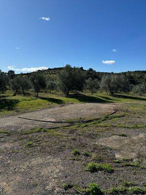 Terreno en Venta en Terrenos paraje los castaños en Adamuz