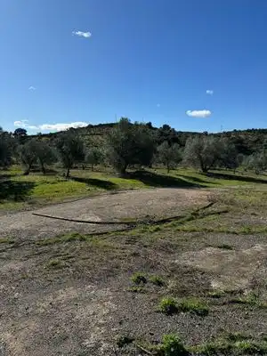 Terrain rustique à vendre à Terrenos paraje los castaños