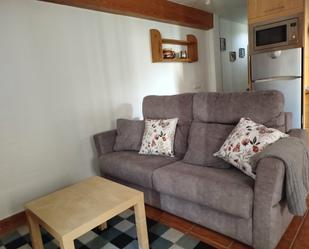 Sala d'estar de Apartament de lloguer en Cuenca Capital amb Aire condicionat, Calefacció i Moblat