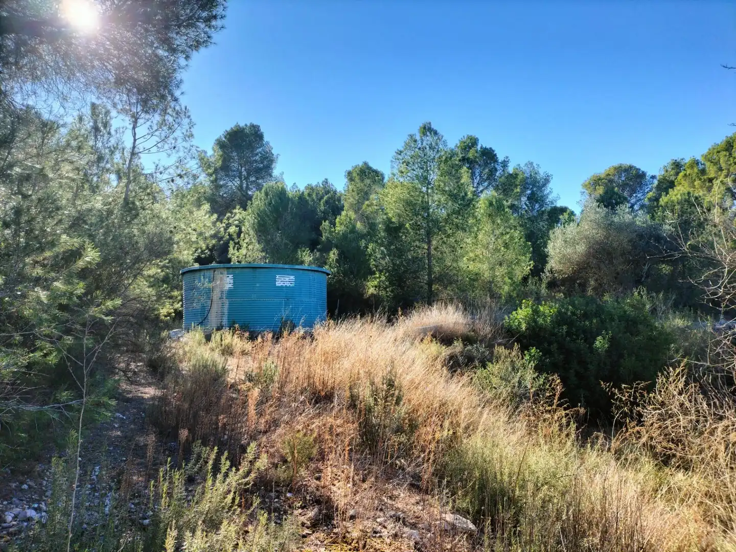 Commercial properties for sale in Navarrés