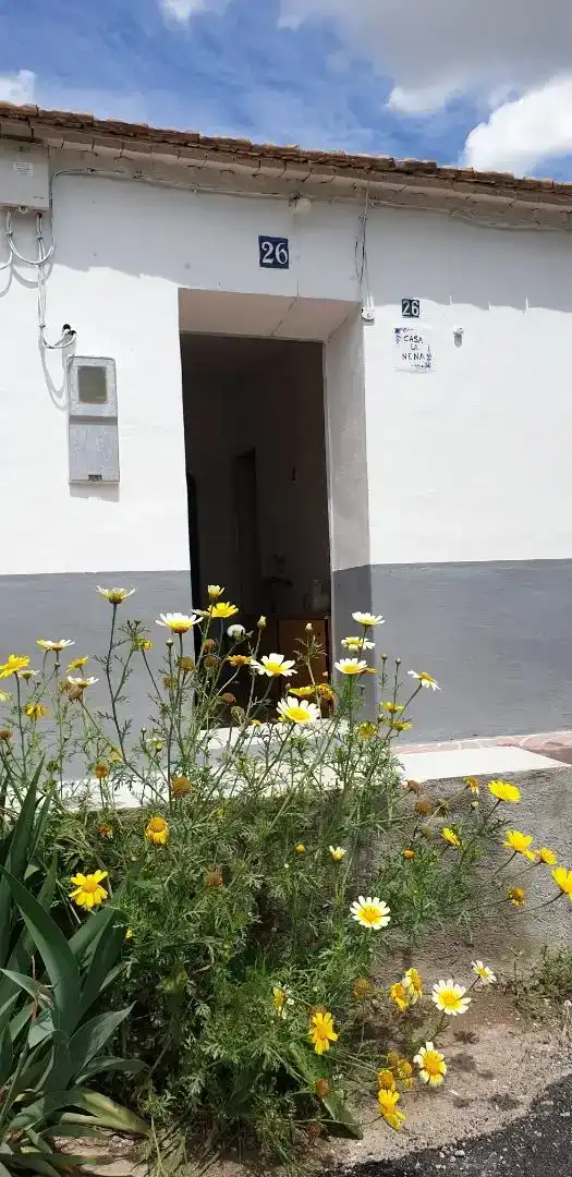 Jardí de Casa o xalet en venda en  Murcia Capital