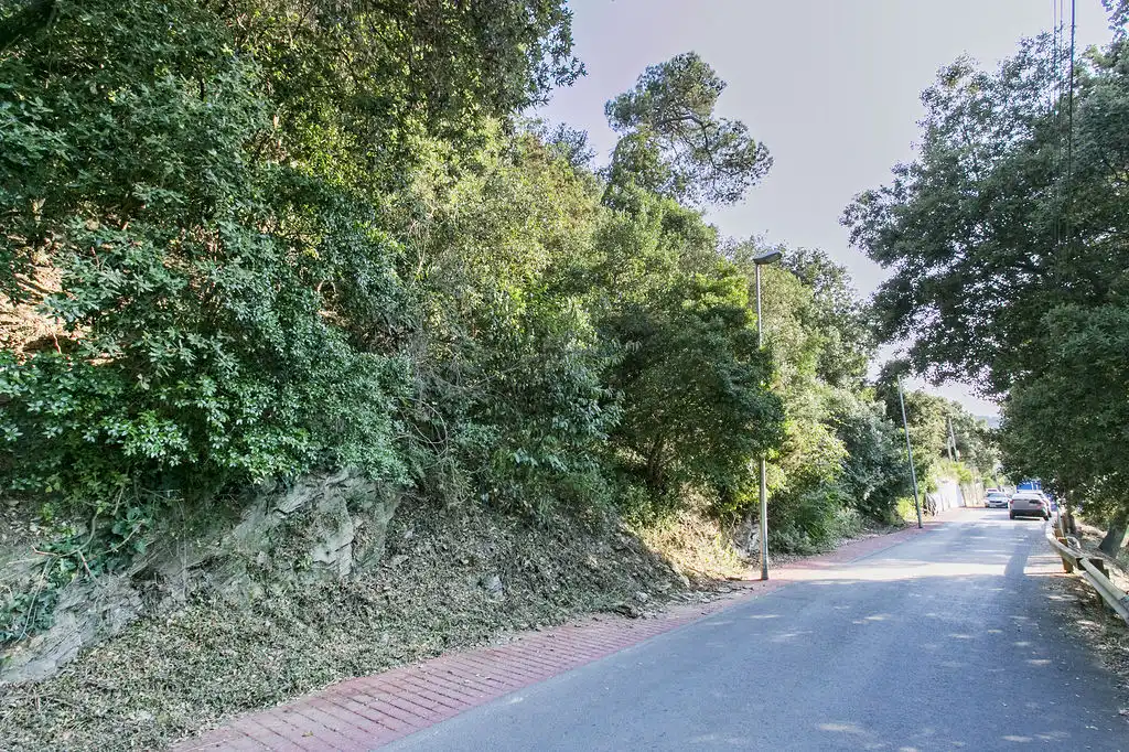 Rural land for sale in C/ Major del Rectoret, imagen 16