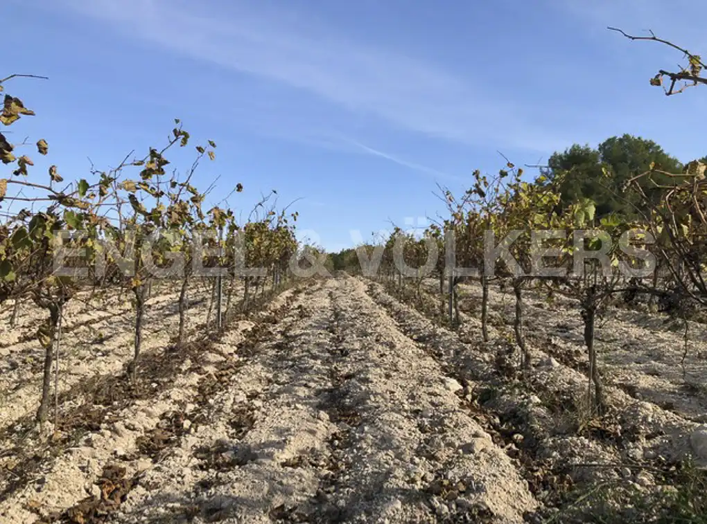 Terreny residencial en venda a Avinyonet del Penedès, imagen 4