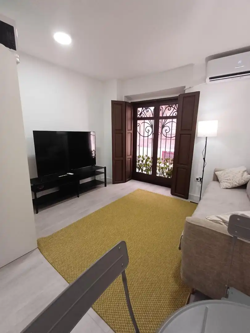 Sala de estar de Estudio de alquiler en Murcia con Aire acondicionado, Calefacción y Amueblado