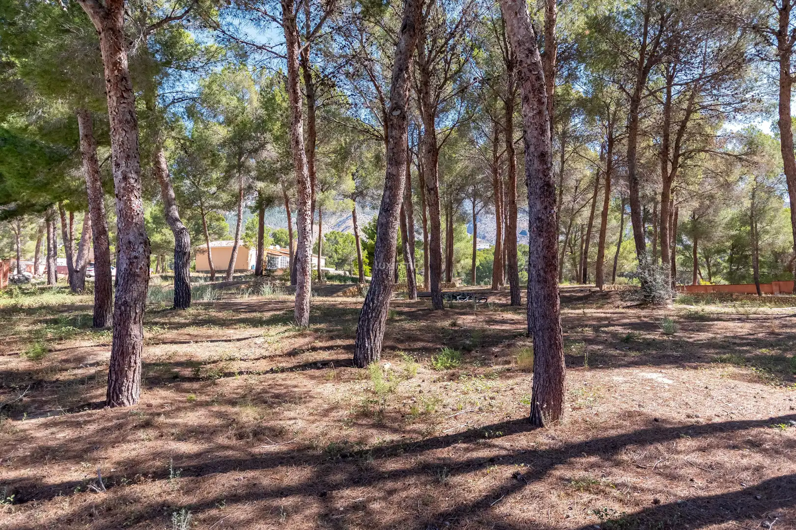 Chalet con piscina en venta en Altea la Vella, imagen 33