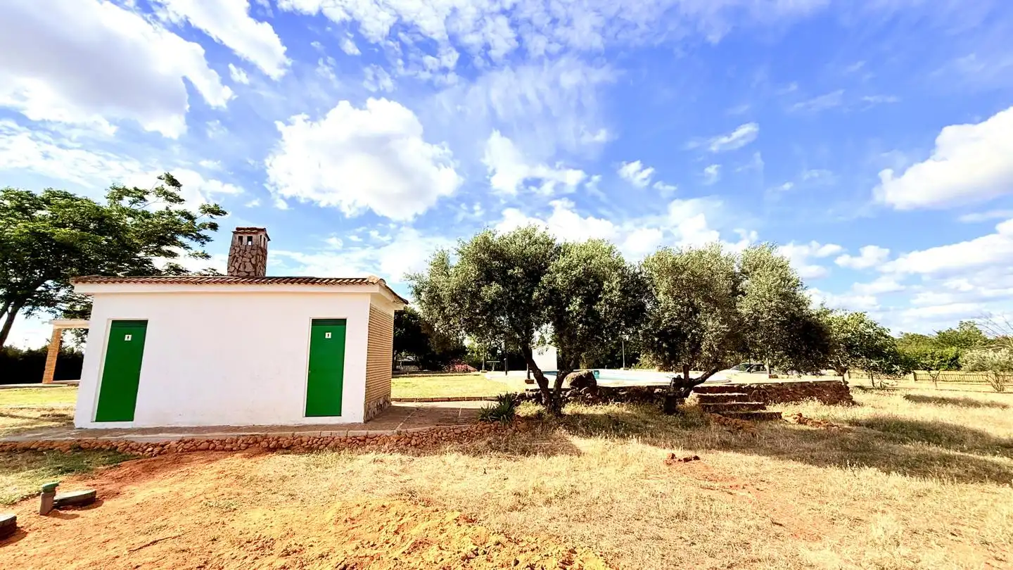 Vista exterior de Casa o chalet en venta en Carmona