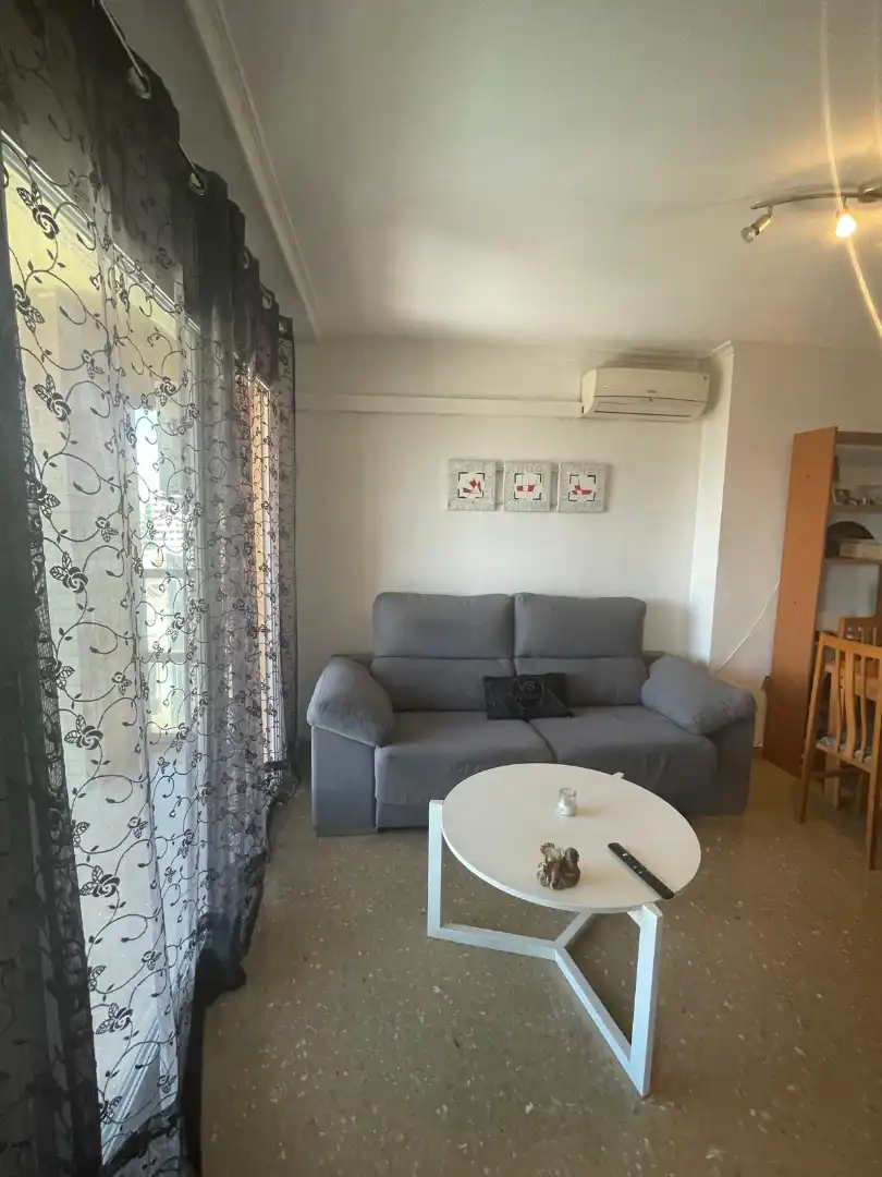 Sala de estar de Piso en venta en Valencia con Aire acondicionado, Calefacción y Amueblado