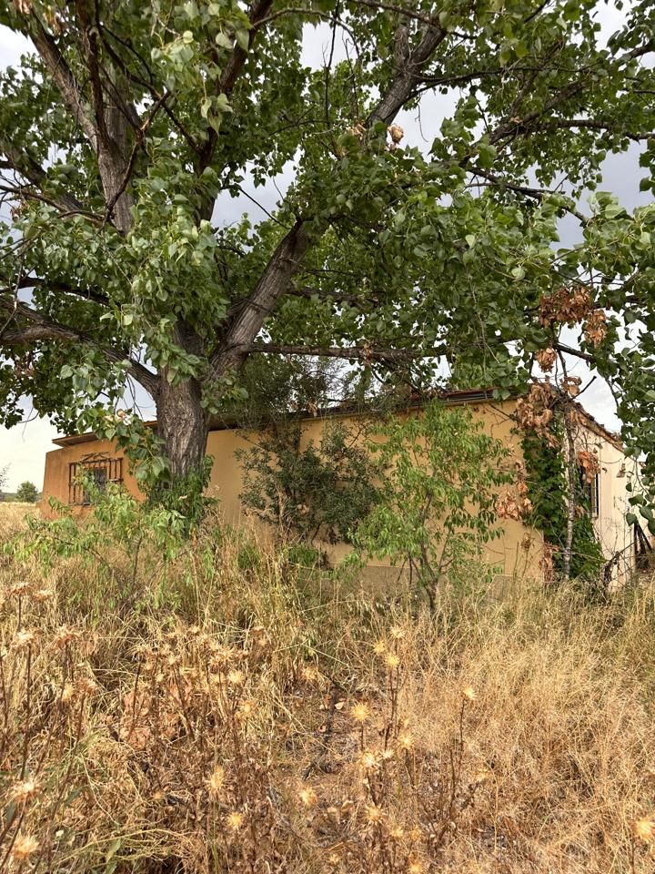 Finca rústica en venda en Castelldans amb Jardí privat, Terrassa i Piscina