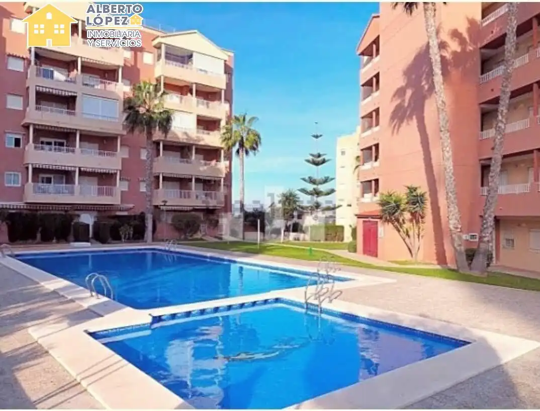 Piscina de Planta baixa de lloguer en Elche / Elx amb Aire condicionat, Terrassa i Moblat