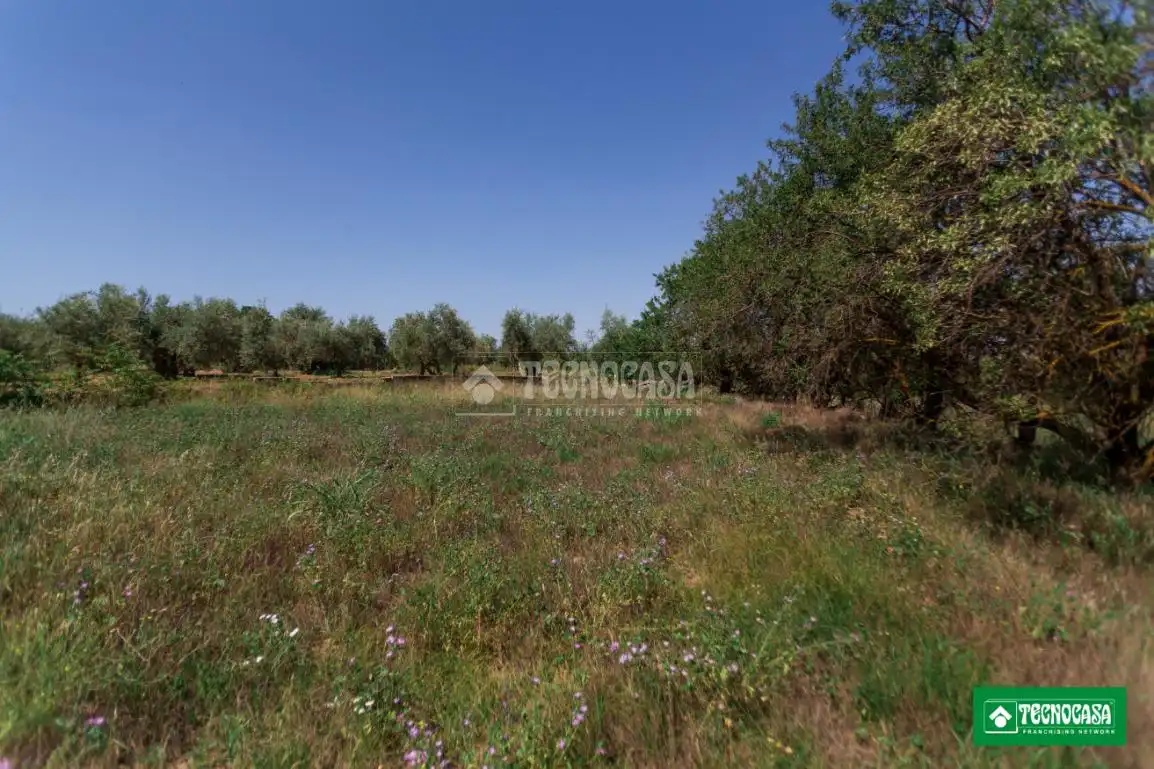 Rustikales Grundstück zum Verkauf in Gójar, imagen 4