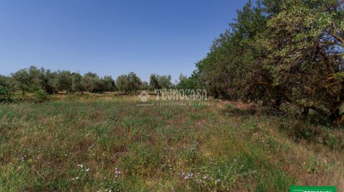 Terrenos en venta en Gójar, imagen 4