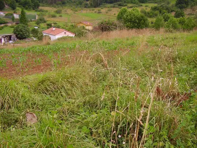 Terreny residencial en venda a Candamo, imagen 11