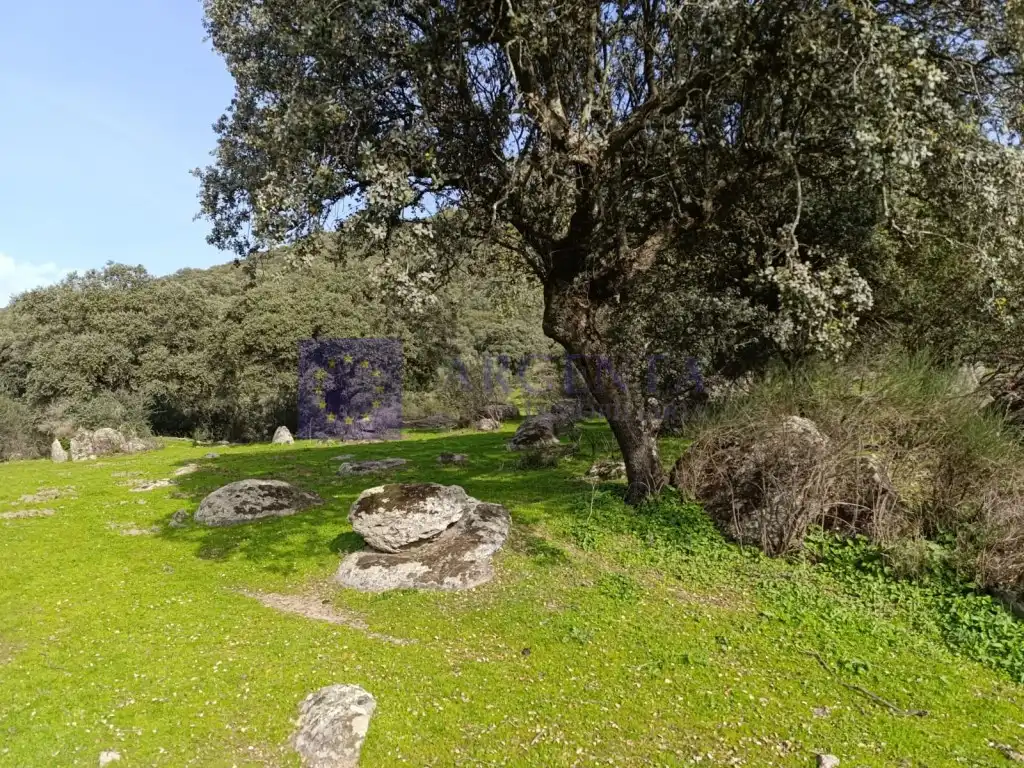 Haus zum Verkauf in Montánchez, imagen 5