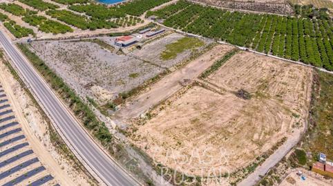 Foto 5 de Finca rústica en venda a Los Montesinos, Alicante