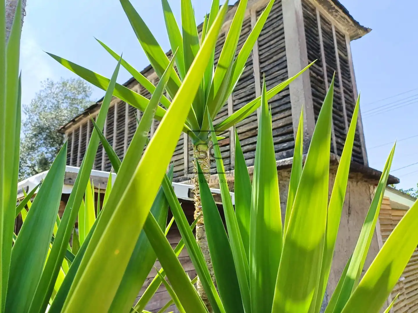 Vista exterior de Casa o chalet en venta en Narón con Jardín privado y Piscina