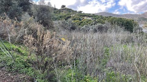 Photo 5 of Residential for sale in Centro, Nerja