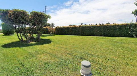 Foto 3 de Dúplex en venda a Calle Calle Camí Dels Campos, Daimús, Valencia