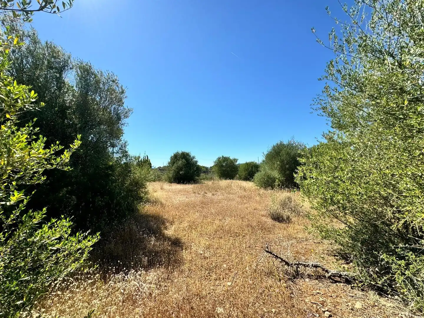 Grundstücke zum Verkauf in Algaida