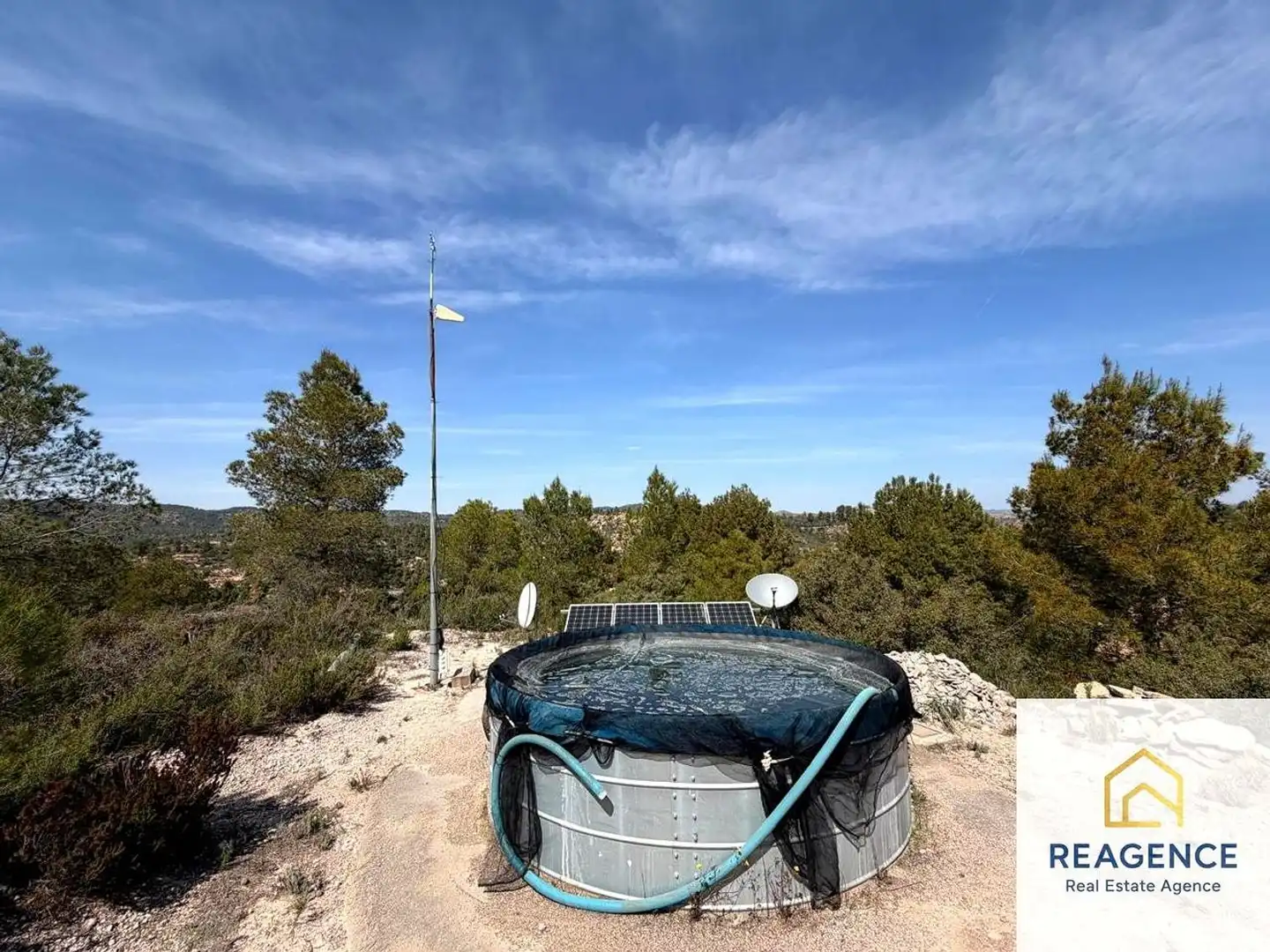 Swimming pool of Country homes for sale in Flix, Tarragona