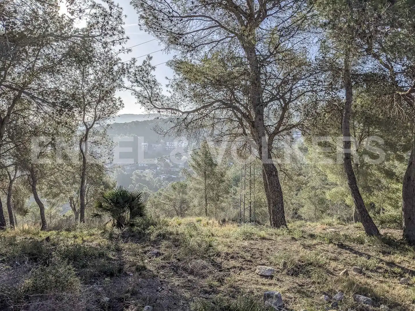 Terreno residencial en venta en Canyelles, imagen 6