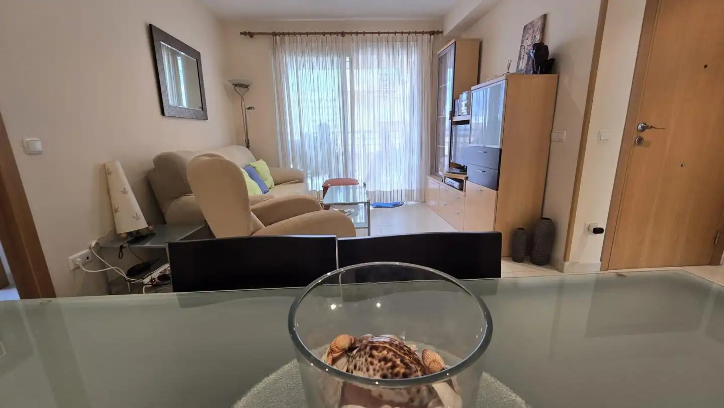 Sala de estar de Apartamento de alquiler en Gandia con Terraza, Amueblado y Piscina comunitaria