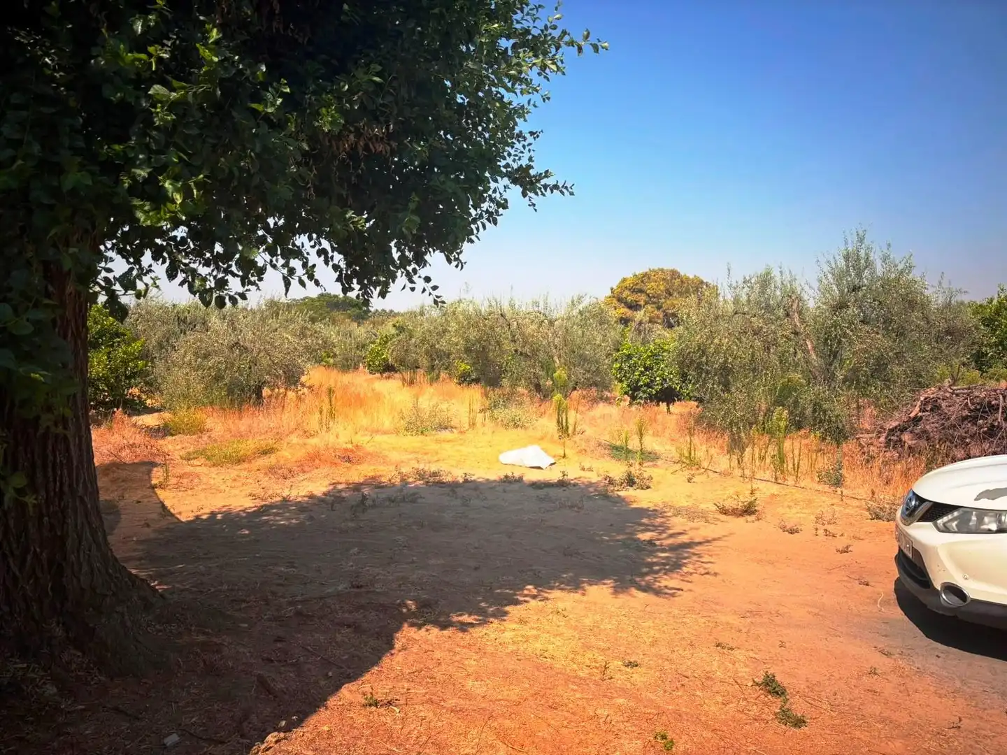 Finca rústica en venda en Huévar del Aljarafe amb Jardí privat, Traster i Piscina