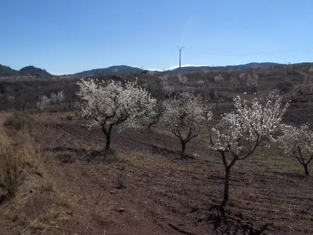 Terreno rustico in vendita a Pedanías Norte, imagen 3