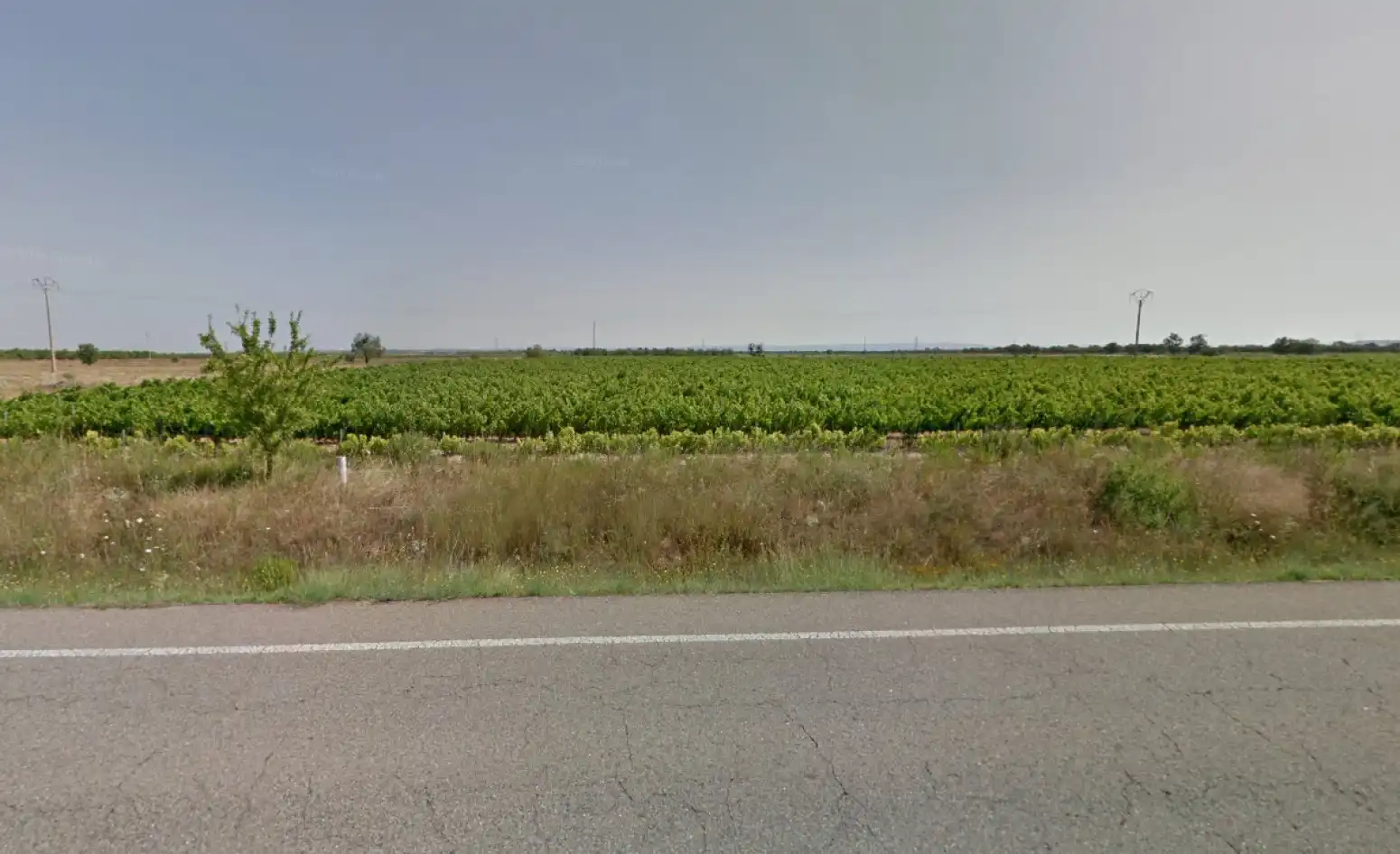 Rustikales Grundstück zum Verkauf in Corella - Ctra. Tudela, imagen 5