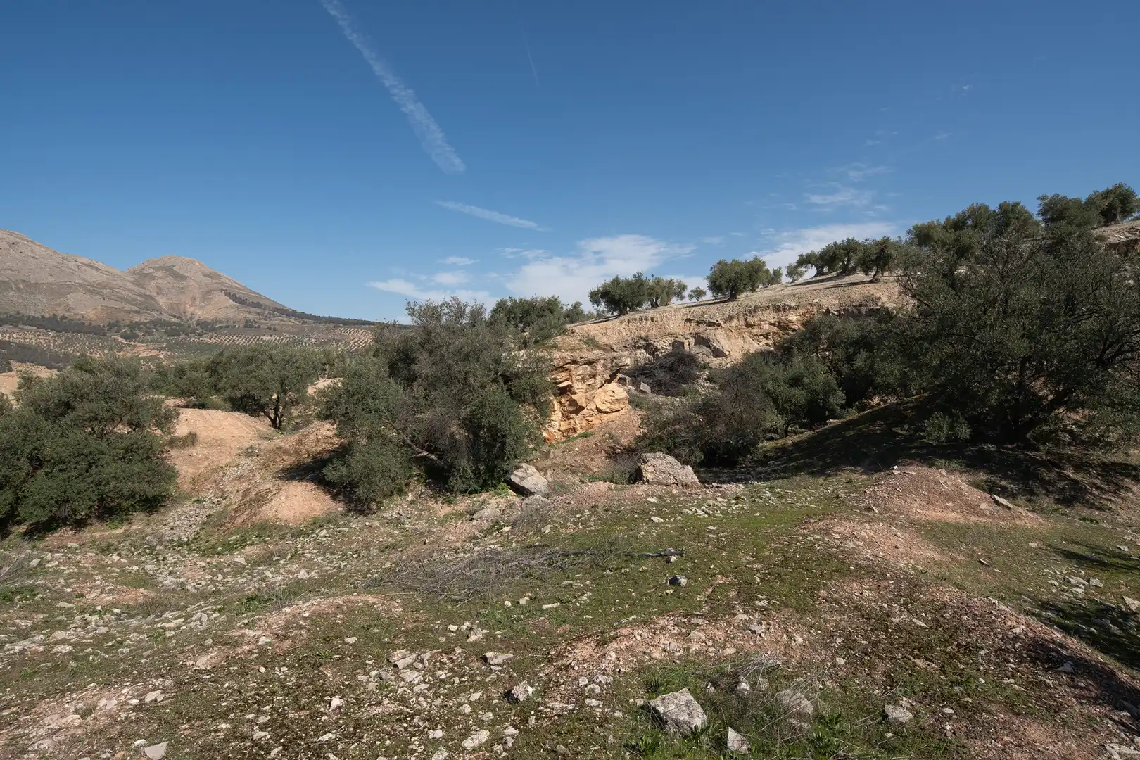 Casa rústica amb jardí en venda a Atarfe, imagen 68